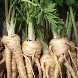 Close-up of fresh parsnips with leafy green tops, showcasing organic produce at a market.