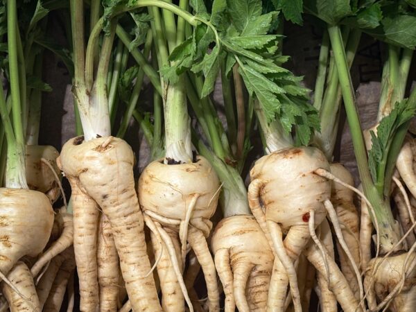 Close-up of fresh parsnips with leafy green tops, showcasing organic produce at a market.